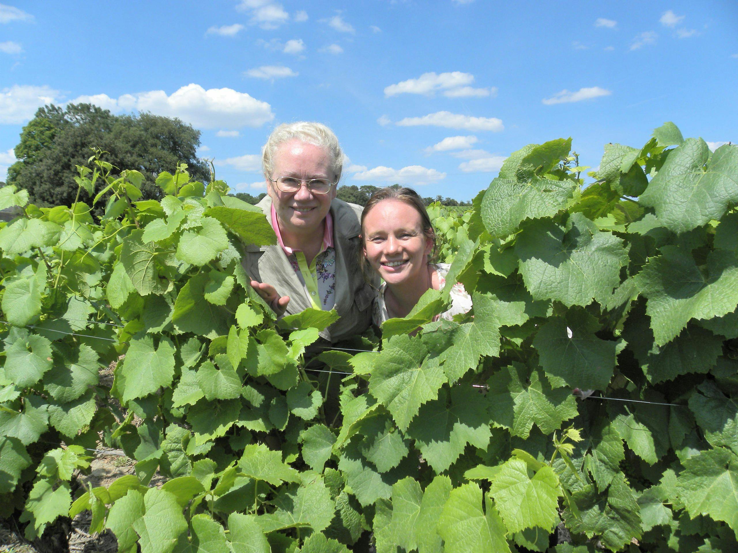 vinprodusent 9TDuF67D60a